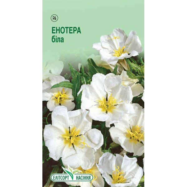 Насіння енотери білої /0,1 г/ *ЭлитСорт*
