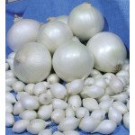 Лук Агостана /20 г/ *ЭлитСорт*