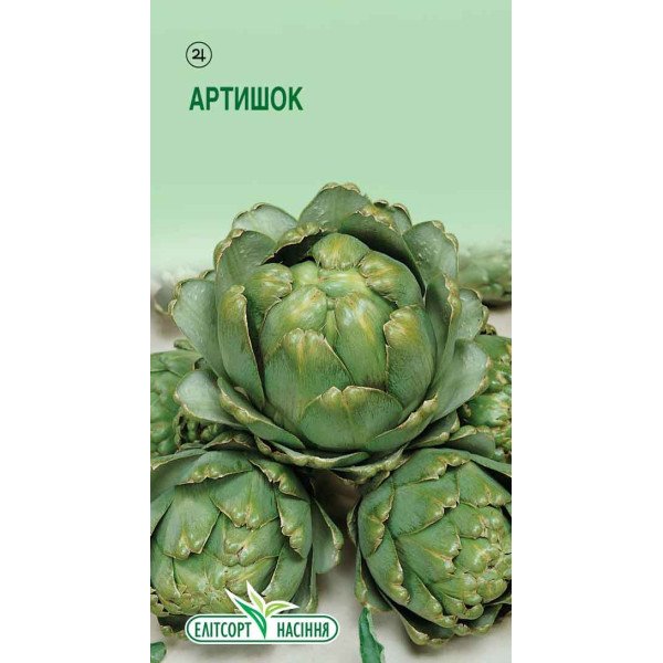 Семена артишока зеленого /10 семян/ *ЭлитСорт*