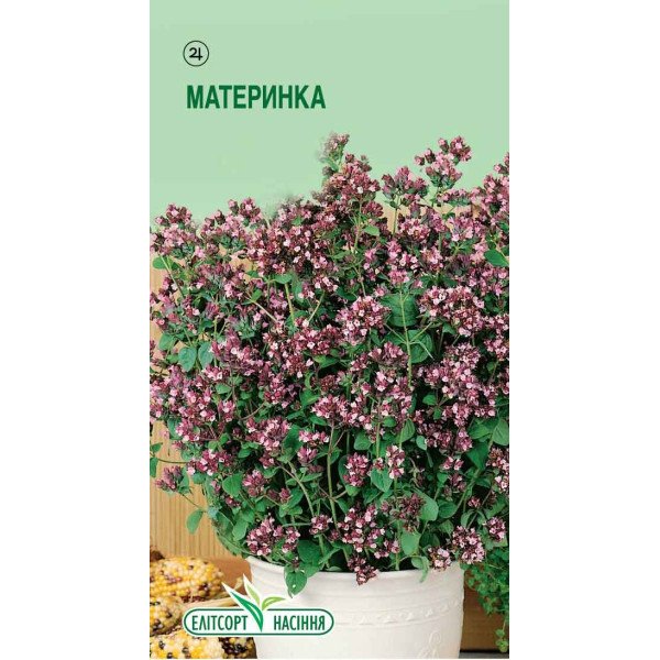 Насіння материнки /0,1 г/ *ЕлітСорт*