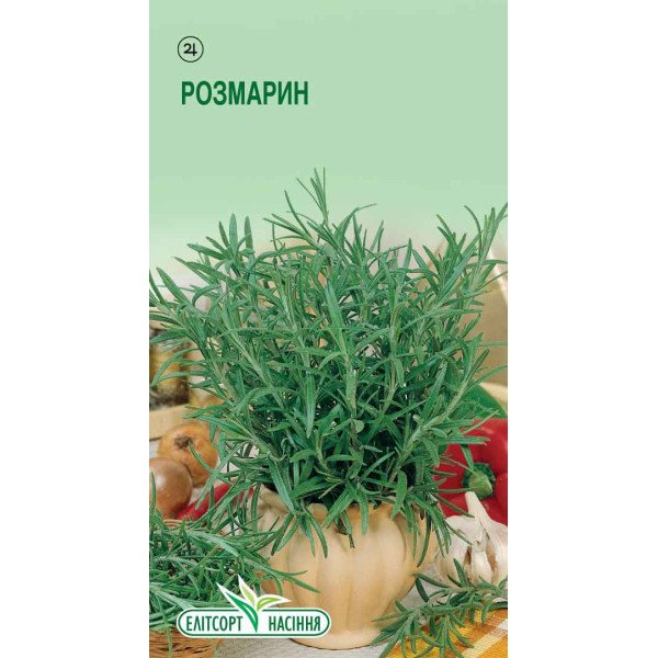 Насіння Розмарину лікарського /0,02 г/ *ЭлитСорт*