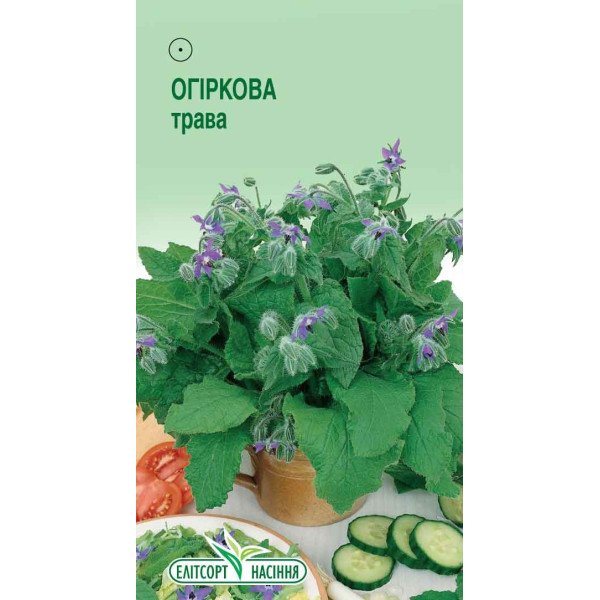 Насіння огіркової трава /1 г/ *ЕлітСорт*