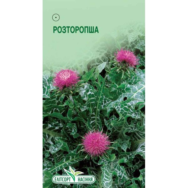 Семена Расторопши пятнистой /1 г/ *ЭлитСорт*