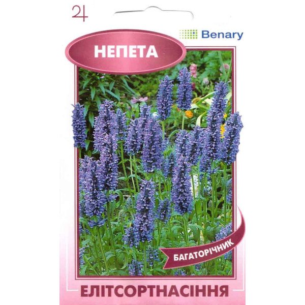 Семена непеты Кошачья мята /0,05 г/ *ЭлитСорт*