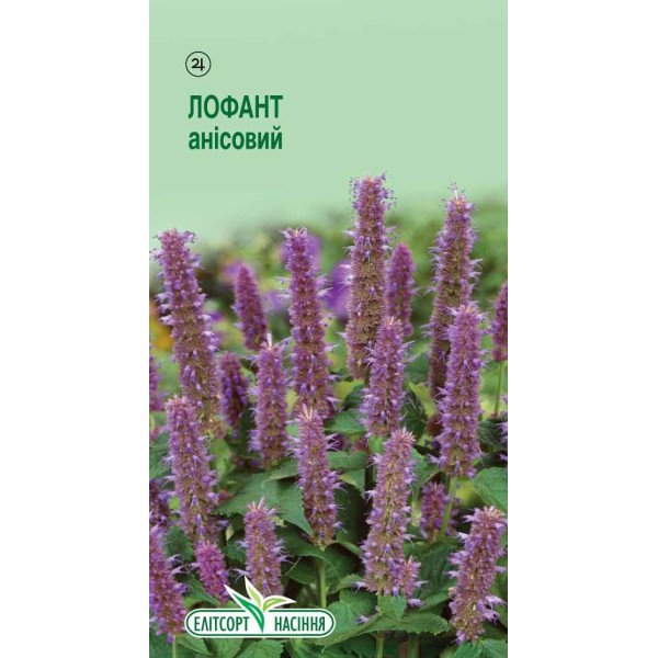 Семена лофанта анисовый /0,05 г/ *ЭлитСорт*
