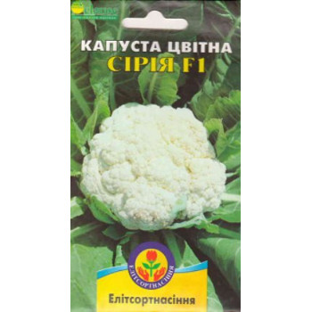 Капуста цвітна Сирія F1 /20 насінин/ *ЕлітСорт*