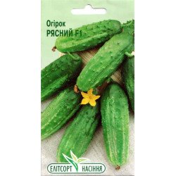 Огурец Рясный F1 /20 семян/ *ЭлитСорт*