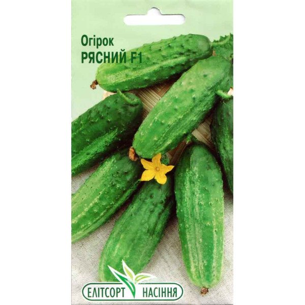 Семена огурца Рясный F1 /20 семян/ *ЭлитСорт*