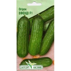 Огурец Эфенди F1 /10 семян/ *ЭлитСорт*