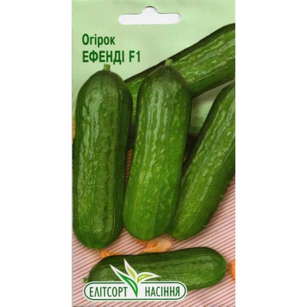 Насіння огірка Ефенді F1 /10 насінин/ *ЕлітСорт*