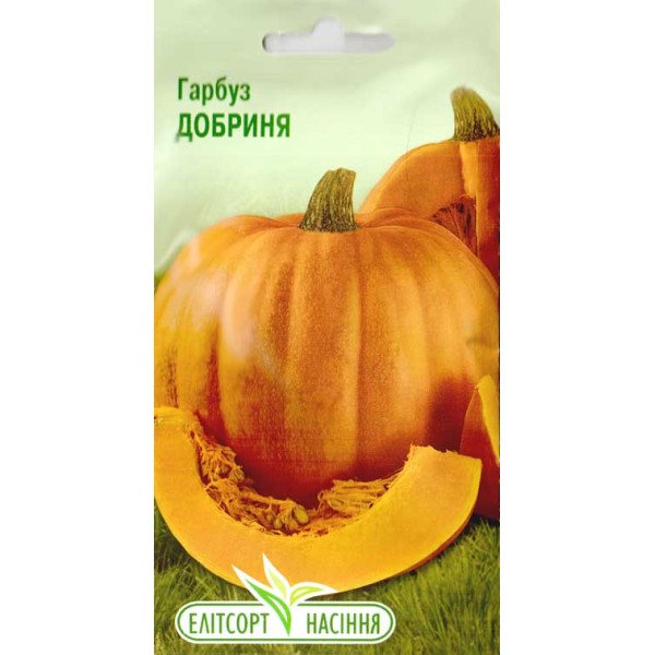 Семена тыква Добрыня /5 семян/ *ЭлитСорт*