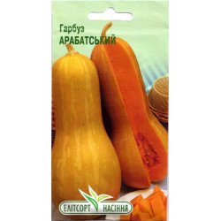 Гарбуз Арабатський /12 насінин/ *ЕлітСорт*