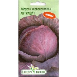 Капуста червоноголова Антрацит /0,5 г/ *ЕлітСорт*