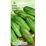 Огірок Болко F1 /20 насінин/ *ЕлітСорт*