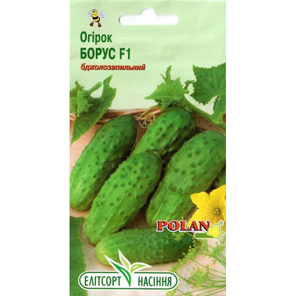 Семена огурца Борус F1 /20 семян/ *ЭлитСорт*