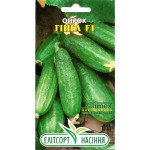 Огурец Гинга F1 /15 семян/ *ЭлитСорт*