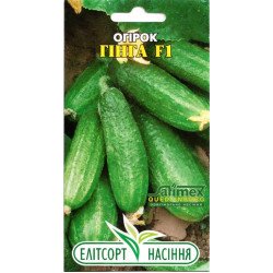 Огірок Гінга F1 /15 насінин/ *ЕлітСорт*