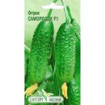 Огірок Самородок F1 /20 насінин/ *ЕлітСорт*