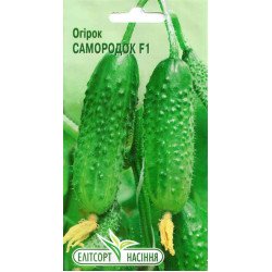 Огурец Самородок F1 /20 семян/ *ЭлитСорт*