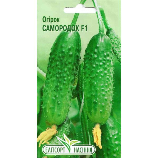 Семена огурца Самородок F1 /20 семян/ *ЭлитСорт*