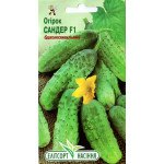 Огірок Сандер F1 /20 насінин/ *ЕлітСорт*