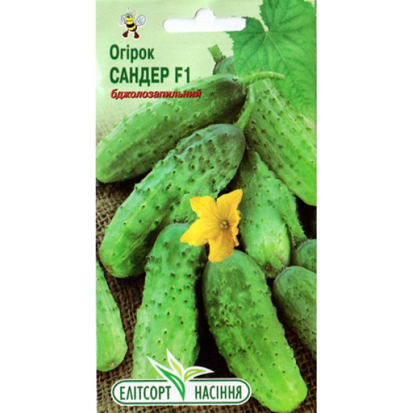 Насіння огірка Сандер F1 /20 насінин/ *ЕлітСорт*