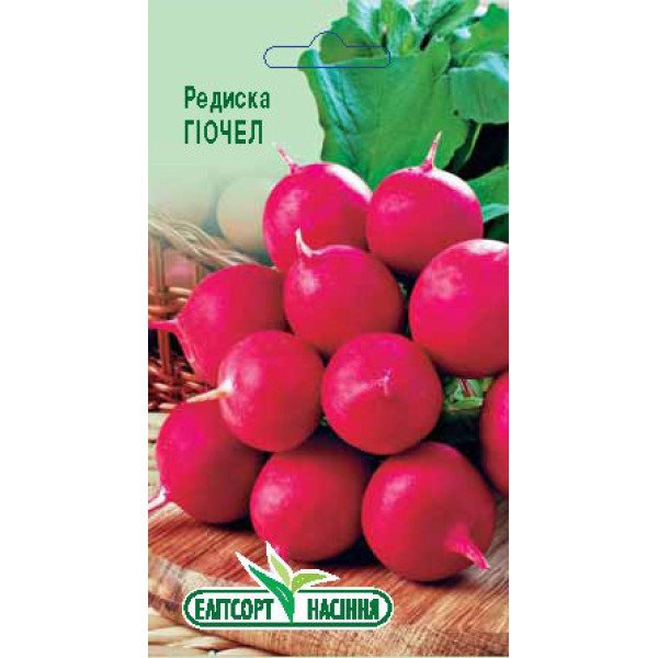 Насіння редиски Гіочел /3 г/ *ЕлітСорт*