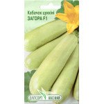Кабачок Загора F1 /7 насінин/ *ЕлітСорт*