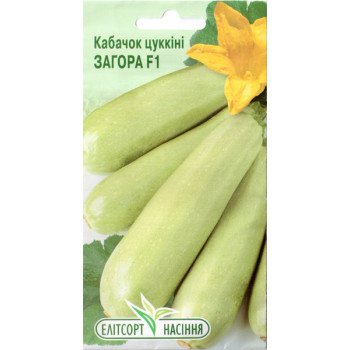 Кабачок Загора F1 /7 семян/ *ЭлитСорт*