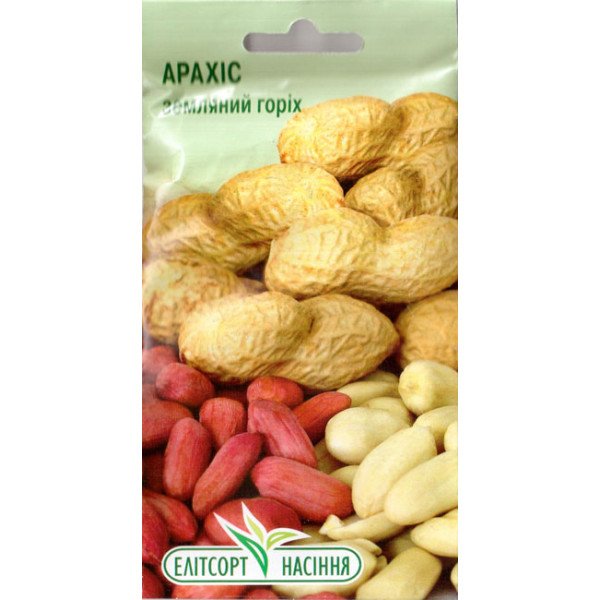 Насіння арахісу Земляний горіх /10 насінин/ *ЭлітСорт*