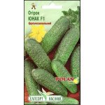 Огірок Юнак F1 /20 насінин/ *ЕлітСорт*
