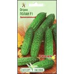 Огірок Полан F1 /20 насінин/ *ЕлітСорт*