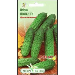 Огірок Полан F1 /20 насінин/ *ЕлітСорт*