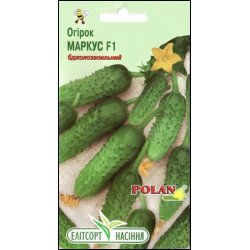 Огурец Маркус F1 /20 семян/ *ЭлитСорт*