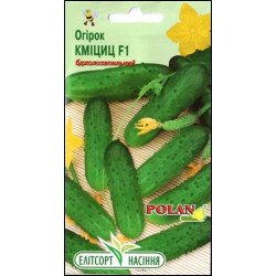 Огурец Кмициц F1 /20 семян/ *ЭлитСорт*