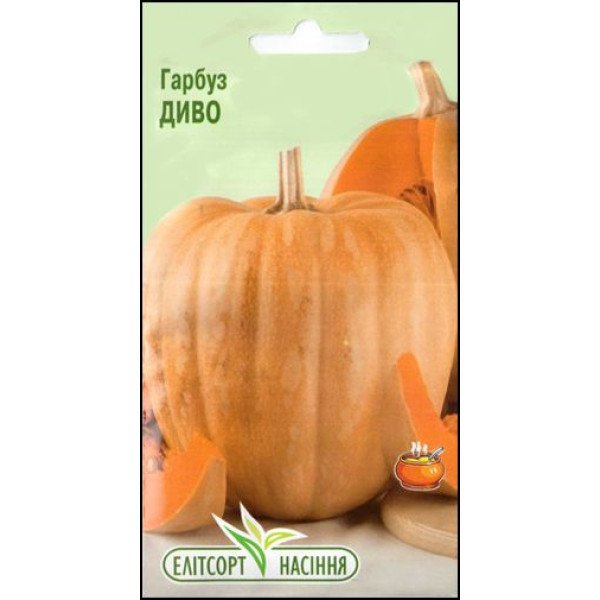 Семена тыквы Диво /7 семян/ *ЭлитСорт*