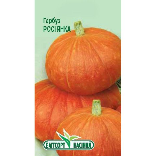 Семена тыквы Росиянка /10 семян/ *ЭлитСорт*