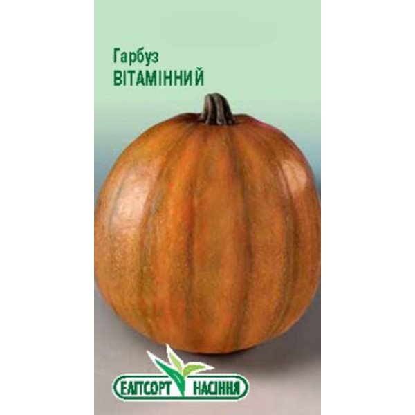 Насіння гарбуза Вітамінний /20 насінин/ *ЕлітСорт*