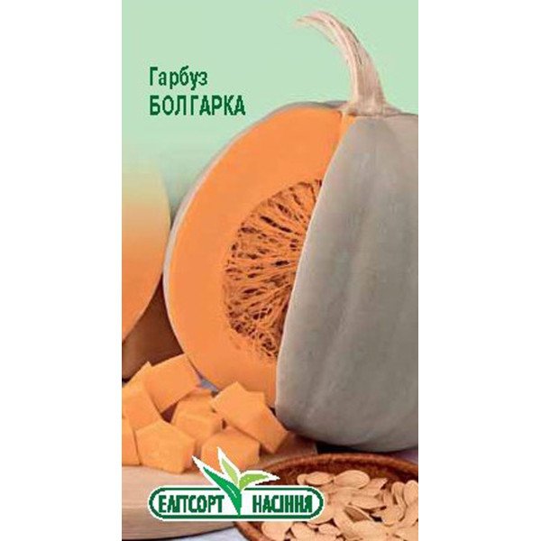 Семена тыквы Болгарка /15 семян/ *ЭлитСорт*