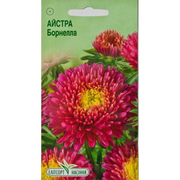 Насіння айстри Борнелла /0,2 г/ *ЕлітСорт*