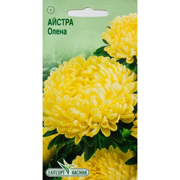 Насіння айстри Олена /0,2 г/ *ЕлітСорт*