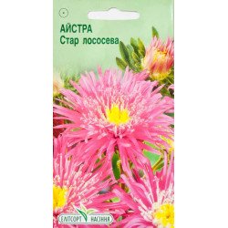 Айстра Стар лососева /0,1/ *ЕлітСорт*