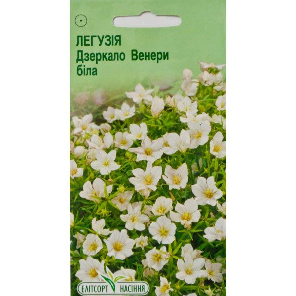 Насіння легузії Дзеркало Венери білої /0,1 г/ *ЕлітСорт*
