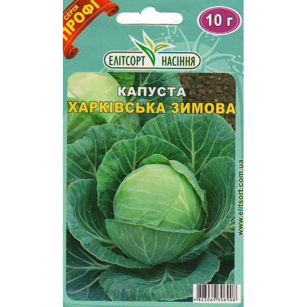 Насіння капусти білоголової Харківська зимова /10 г/ *ЕлітСорт*