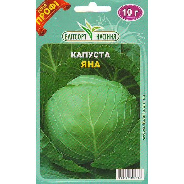 Насіння капусти білоголової Яна /10 г/ *ЕлітСорт*