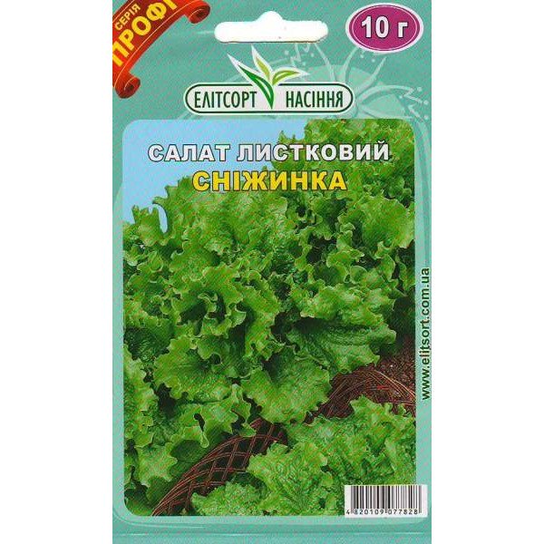 Насіння салату Сніжинка /10 г/ *ЕлітСорт*