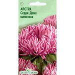 Айстра Сєдая Дама малинова /0,2 г/ *ЕлітСорт*