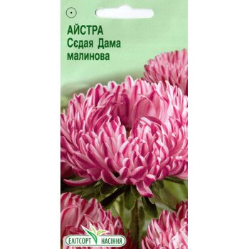 Астра Седая Дама малиновая /0,2 г/ *ЭлитСорт*