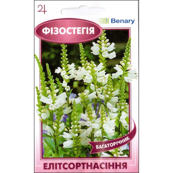 Насіння фізостегії віргінської білої /20 насінин/ *ЭлитСорт*