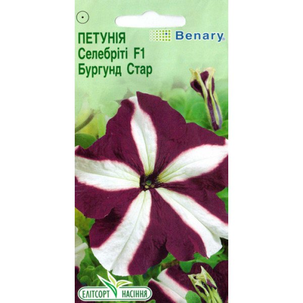 Семена Петунии Селебрити F1 Бургунд Стар /10 семян/ *ЭлитСорт*